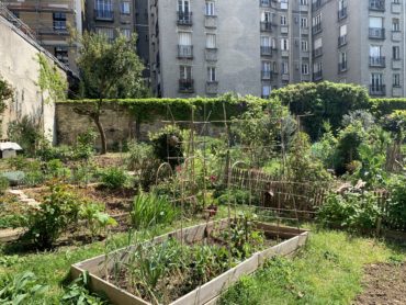 Jardin partagé dans le 13ème arrondissement de Paris